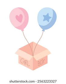 gender reveal surprise box isolated