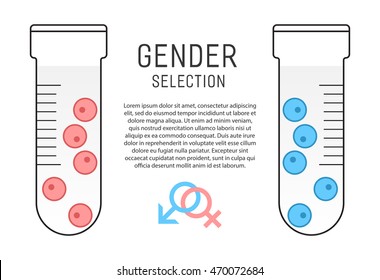 Gender selection poster. In vitro fertilization. Selection of sex. Vector illustration.