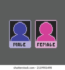 gender sign in pixel art style