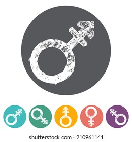 Gender symbol icons flat. Vector illustration. 