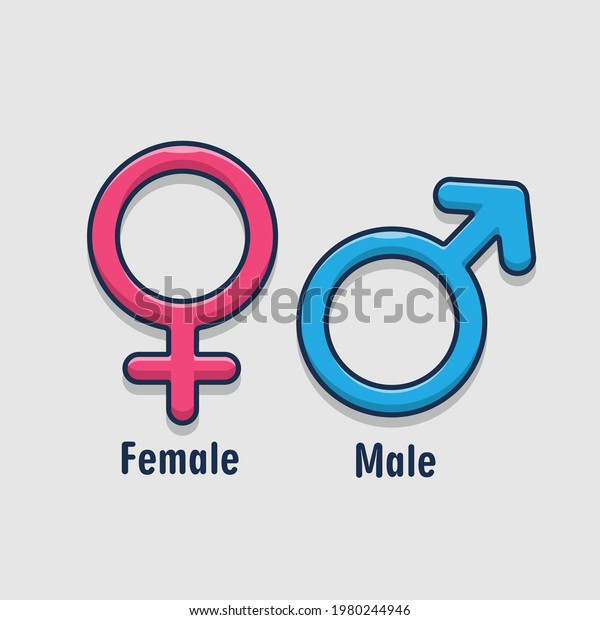 Gender Symbol Meaning Sex Equality Males Stock Vector Royalty Free 1980244946 Shutterstock