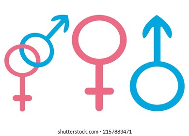 Gender symbols. Set of vector illustrations. Male, female and symbols fastened together. Signs on an isolated background. Flat style. Idea for web design.