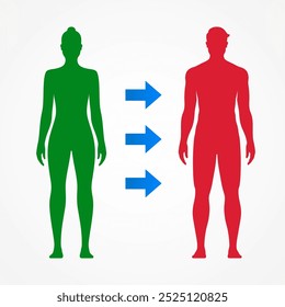 Gender transition from female to male, concept vector illustration. The transformation process from woman to man. Body figures of woman and man, showing gender change or Interaction between genders.