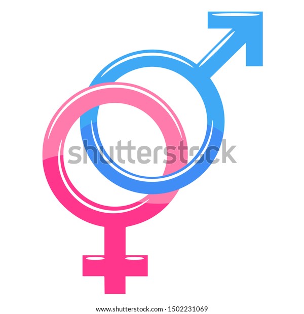 Gender Vector Graphic Clipart Design Stock Vector (royalty Free 