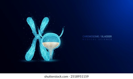 Gene chromosome and bladder. Genetic synthetic biology cell DNA. Anatomy organ polygonal blue glowing on dark background. For medical science work. Vector EPS10.