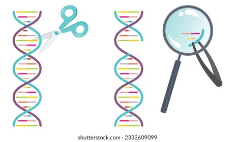 Gene editing double helix DNA concept vector illustration graphic