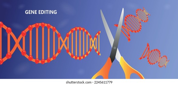 Gene editing illustration, Dna engineering. scissors cut abstract genome against the blue background. Vector illustration