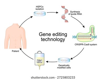 Tecnología de edición genética. Sistema CRISPR y Cas9 para el tratamiento de trastornos sanguíneos, ceguera genética, cáncer, enfermedades infecciosas, enfermedades metabólicas. Ilustración vectorial. Diagrama médico