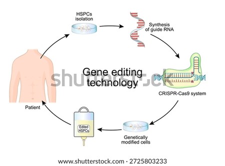 Gene editing technology. CRISPR and Cas9 system for Treatment of Blood Disorders, Genetic Blindness, Cancer, Infectious Diseases, Metabolic Diseases. Vector illustration. Medical diagram