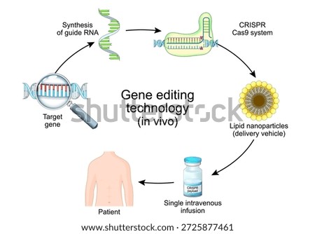 Gene editing technology in vivo. CRISPR and Cas9 system for Treatment of Blood Disorders, Autoimmune, Infectious  and Metabolic Diseases. Vector illustration. Medical diagram