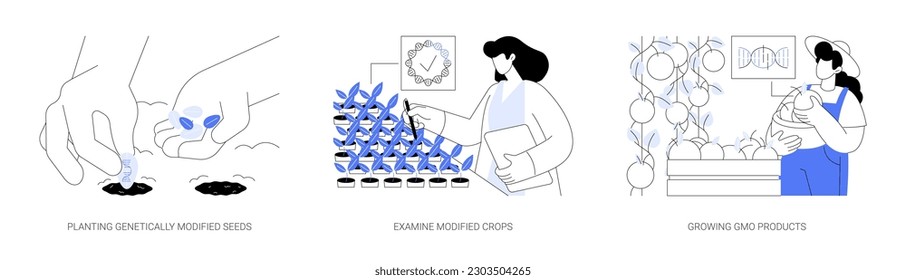 Gene engineering in agriculture abstract concept vector illustration set. Planting genetically modified seeds, examine modified crops, biotechnologist growing GMO products abstract metaphor.