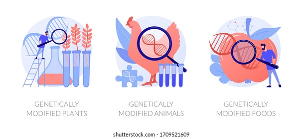 Gene modification, genetic engineering. Genetically modified plants, genetically modified animals, genetically modified foods metaphors. Vector isolated concept metaphor illustrations.