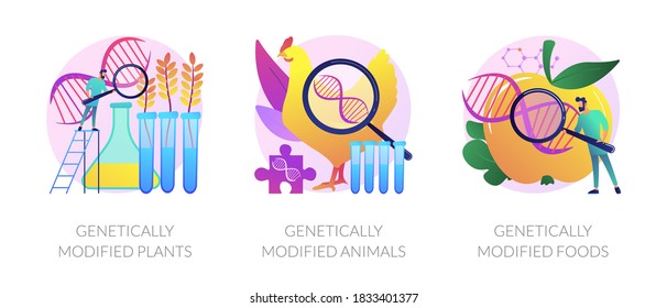 Gene modification, genetic engineering. Genetically modified plants, genetically modified animals, genetically modified foods metaphors. Vector isolated concept metaphor illustrations.