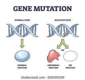 Gene Mutation Models Comparison With Abnormal Helix Protein Outline Diagram. Labeled Educational Genetic DNA Sequence Scheme With Artificial Modification Vector Illustration. Biological Manipulation.