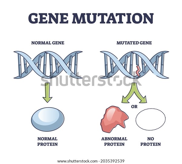 Gene mutation models comparison with\
abnormal helix protein outline diagram. Labeled educational genetic\
DNA sequence scheme with artificial modification vector\
illustration. Biological\
manipulation.