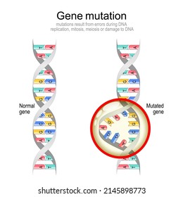 Gene mutation Normal DNA and helix with Mutated gene.  Biological manipulation. Vector diagram