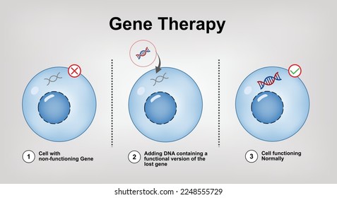 Gene Therapy - correcting the underlying genetic problem Vector Illustration