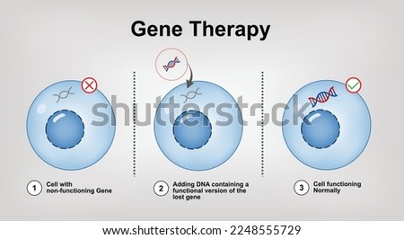 Gene Therapy - correcting the underlying genetic problem Vector Illustration Stock photo © 