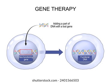 Gene Therapy. Medical technology manipulation of gene expression for altering the biological properties of living cells. Genetic Engineering. Genome Editing. Vector illustration