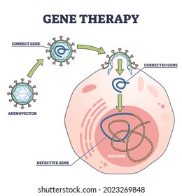 Gene therapy medical treatment and correct genome replacement outline diagram. Educational labeled experimental and modern disease treatment scheme with corrected defective gene vector illustration.