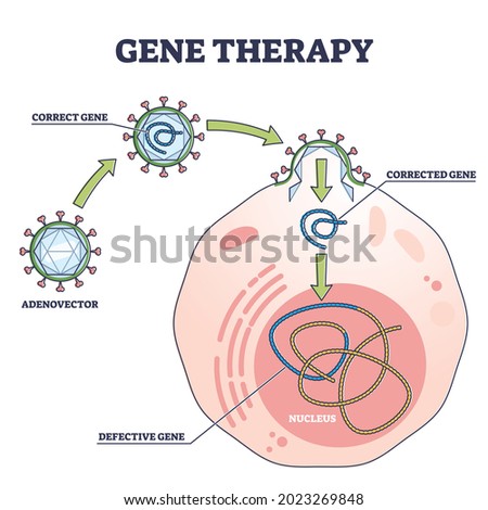 Gene therapy medical treatment and correct genome replacement outline diagram. Educational labeled experimental and modern disease treatment scheme with corrected defective gene vector illustration. Stock photo © 