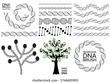 Genealogical Family Tree With Avatars, Genealogy Tree For Dna Ancestors. Human Dna Chain Or Genome Helix Vector Collection