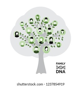 Genealogical Family Tree With Avatars Isolated On White Background. Genealogy Tree For Dna Ancestors Illustration
