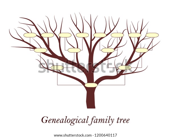 Genealogical Family Tree Vector Design Stock Vector (Royalty Free ...