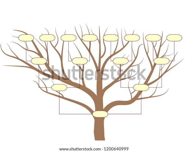 Genealogical Family Tree Vector Design Stock Vector (Royalty Free ...