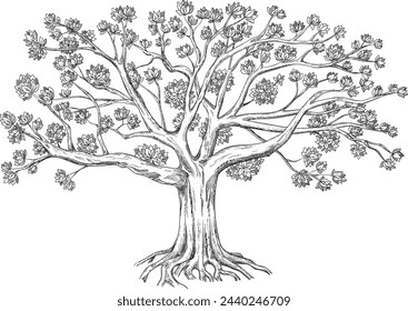 Genealogical family tree. Vector illustration isolated on white background. 