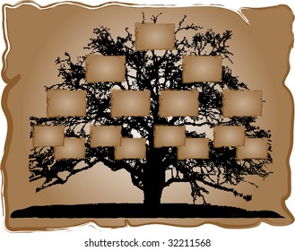 Genealogical tree