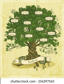 Genealogical tree on old paper background. Family tree in vintage style. Pedigree 