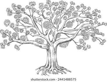 Genealogical tree. Vector illustration isolated on white background. 