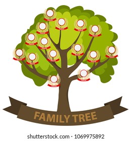 Genealogy tree, family tree with family members. Flat design, vector illustration, vector.