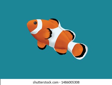 General clown fish isolated on a blue background