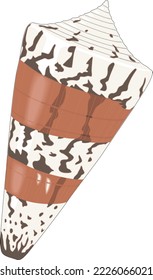 General Cone Seashell Vector Illustration