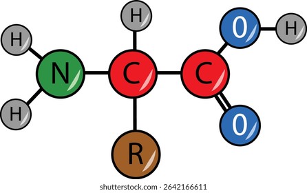 General formula of amino acids.