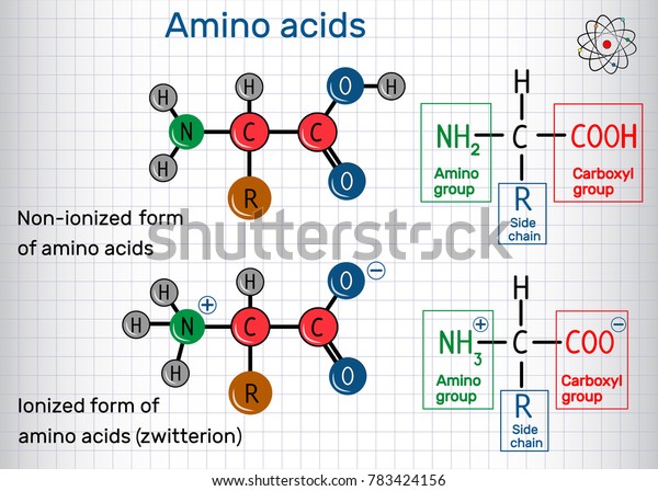 アミノ酸 イオン化及び非イオン化 双性イオン の一般式 構造化学式と分子モデル ケージの中の紙 ベクターイラスト のベクター画像素材 ロイヤリティフリー
