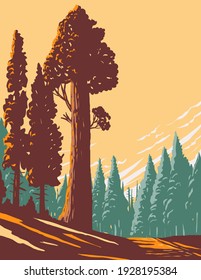 General Grant Tree Trail with the Largest Giant Sequoia in the General Grant Grove Section of Kings Canyon National Park in California WPA Poster Art