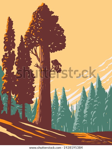 General Grant Tree Trail with the Largest\
Giant Sequoia in the General Grant Grove Section of Kings Canyon\
National Park in California WPA Poster\
Art