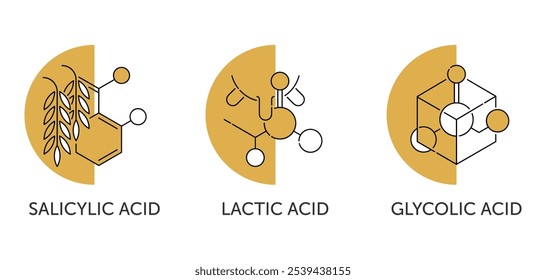 Ingredientes gerais, ácidos para pele e soro - glicólico, lático, salicílico. Conjunto de ícones para a rotulagem de cosméticos anti-idade e produtos antirrugas, para cuidados da pele 