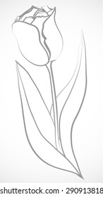 General outline of a tulip with leaves and stem on a black and white background.