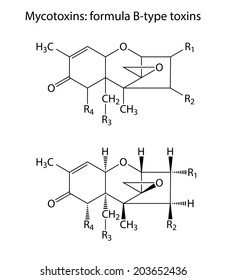 General structural chemical formulas of mycotoxins (B-type), 2d illustration,  isolated on white background, vector, eps 8
