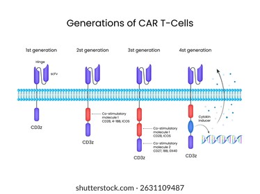 Generations of CAR T Cells Schematic Visão geral