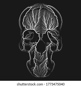 Dibujo generativo vectorial en blanco y negro del cráneo humano. Concepto de la cara ósea de crecimiento procesal.