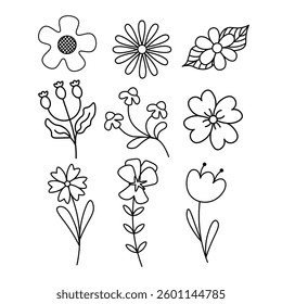 A generic flower with a simple hand-drawn outline. A minimalist and versatile spring-themed design.