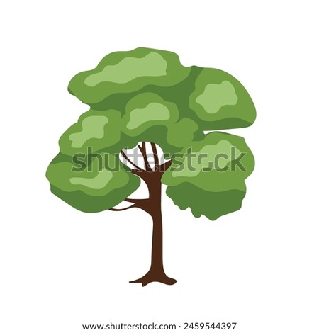 Generic tree plant image, single tree with green leaves, realistic cartoon vector illustration, isolated on white background