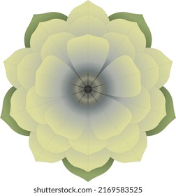 A generic yellow cactus flower, but it's not based on a particular species of cactus. Stylized. Vector.