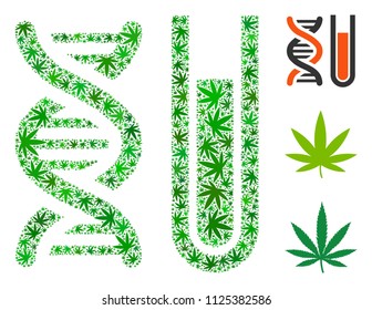 Genetic analysis composition of weed leaves in different sizes and green variations. Vector flat weed objects are composed into genetic analysis composition. Addiction vector design concept.