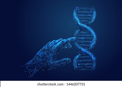 Genetic analysis and research low poly wireframe illustration. Polygonal DNA chromosome analyzing mesh art. 3D scientist hand touching double helix molecule model. Molecular biology science